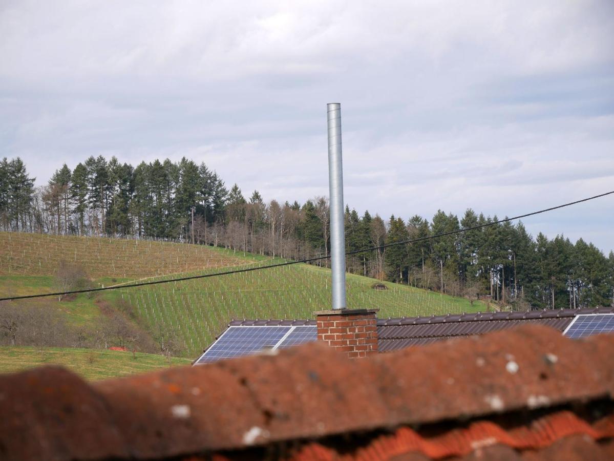 Ferienwohnung Obere Alm Oberkirch  Buitenkant foto
