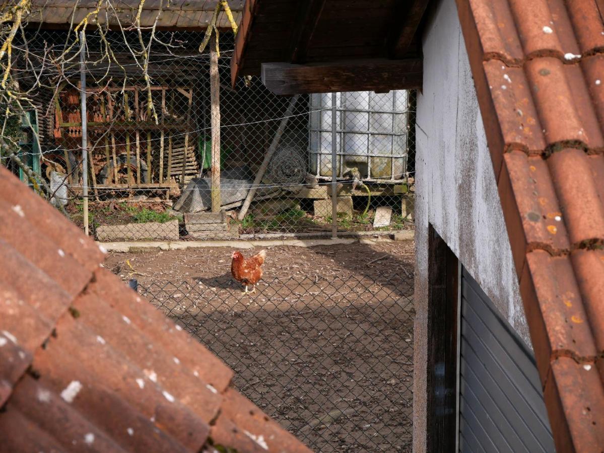 Ferienwohnung Obere Alm Oberkirch  Buitenkant foto